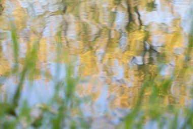 Turuncu sonbahar yapraklı ağaçların soyut manzarası mavi gökyüzü ile baş aşağı suya yansıyor.. 