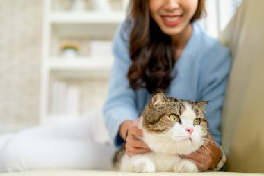 Güzel Asyalı bir kadın tarafından oynanan güzel bir kedi. Gün ışığında kanepede oturur ve gülümserek mutlu görünür..