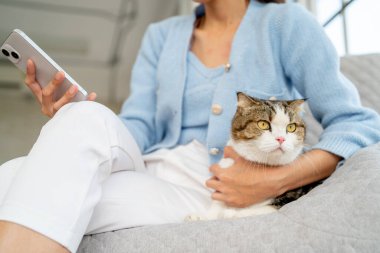 Güzel kediyi kapat, sağa bak ve cep telefonundan hoşlanan ve kanepeye oturan ev sahibi kadının kucağına ve okşayıcısına bak..