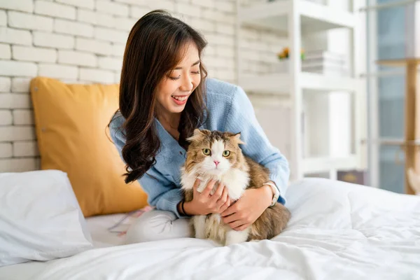 아시아 고양이를 껴안고 감정으로 침대에 고양이는 카메라를 봅니다 — 스톡 사진