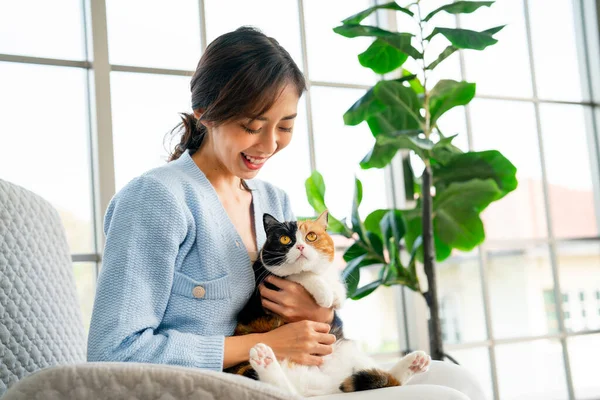 아시아 여성은 소파에 자신의 고양이와 고양이와 이야기를 나누며 관심을 가지고 — 스톡 사진