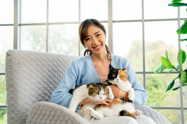 Mujer Asiática Sostener Abrazar Dos Gatos Encantadores Regazo También Mirar —  Fotos de Stock