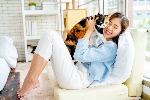 Asiatisk Kvinna Hålla Och Uppfostra Härlig Katt Upp Med Beröring — Stockfoto