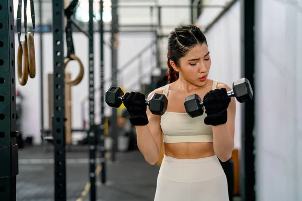 stock image Pretty Asian sport woman hold and lift two dumbbells up and look to her hands in fitness gym and look concentrate to training.