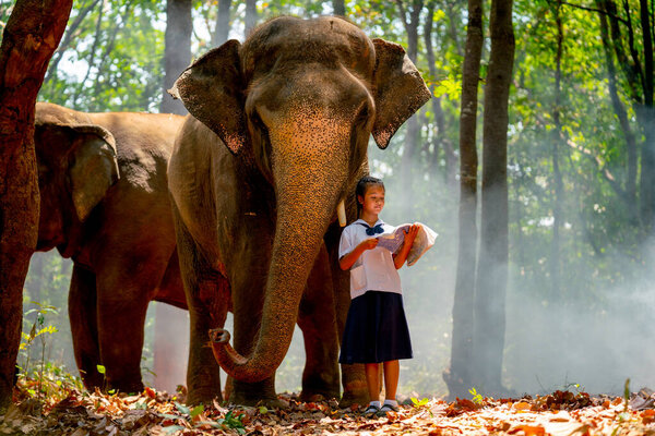 Asian girl hold book and stand near leg of elephant and also read book in concept of good relation between human and animal.