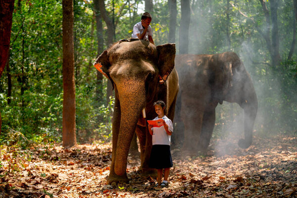 Asian girl with student uniform read book and stand near elephant with one boy stay on its head or back and they stay in forest in concept of relationship between human and wildlife.