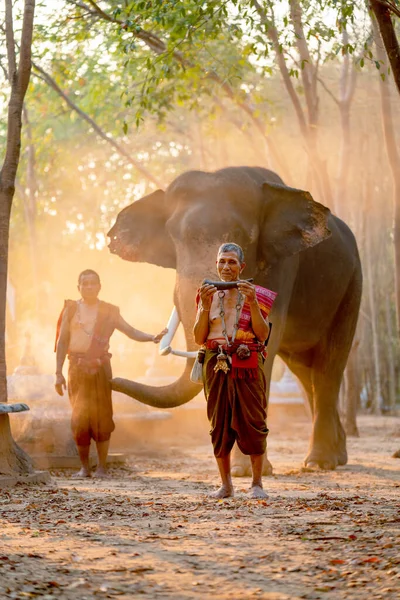Vertical image of mahout teacher old man hold part of ivory and stand in front of elephant and other old man with sunlight and mist.