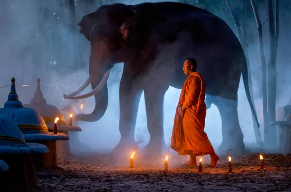 stock image One monk action of walking meditation in front of big elephant stand on the background at night.