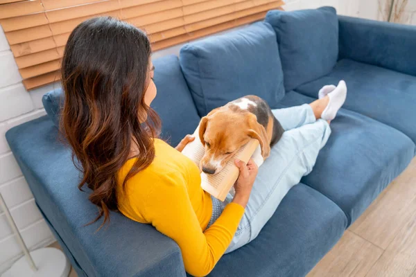 Genç Asyalı kızın sırtı av köpeğini kucağına alıp gün ışığında kanepede yatar ve birlikte eğlenip rahatlarlar..