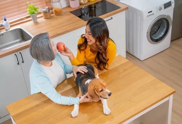 Top view of Asian young girl give apple to senior woman as mother and stay with beagle dog in the kitchen of their house.