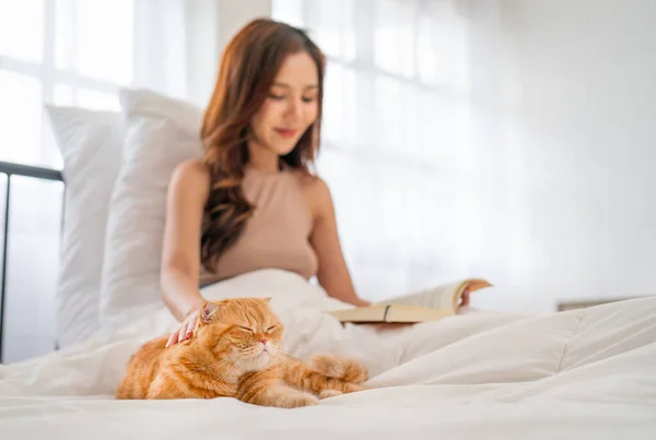 Side view of pretty Asian woman touch and pat orange cat that lie on bed during she read the book to relax in bedroom with day light.
