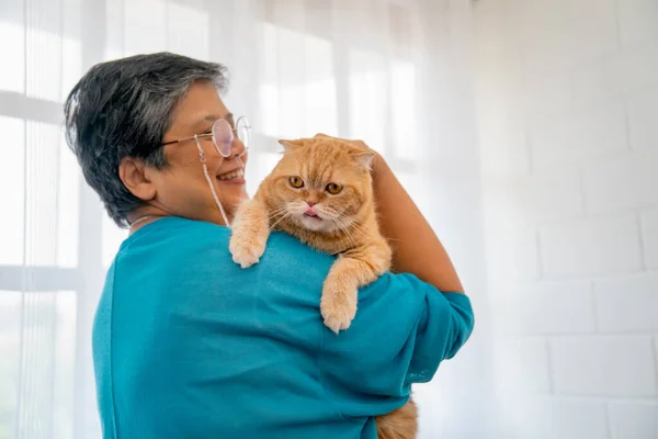 Asian senior woman hold on shoulder and pat orange cat also stand in front of glass window with white curtain and she look happy and care to her pet.