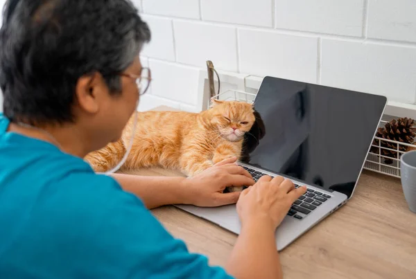 Turuncu Kedi Yaşlı Kadının Bilgisayarında Yatar Sahibiyle Kalmaktan Mutlu Olur — Stok fotoğraf