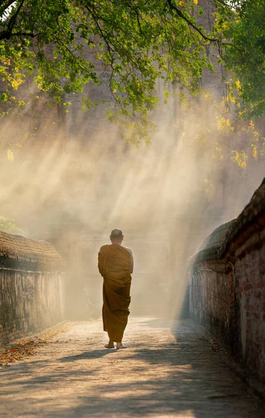 アジアの僧侶の背面の垂直イメージは 古代の宮殿やラインビームライトと建物の古い壁と一緒に途中で歩く — ストック写真