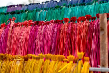 Çok renkli kuru otları kapatıyoruz. Çok satırlı açık havada hasır ya da hasır yapımında kullanılıyor..