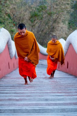 Tapınağın merdivenlerinde yürüyen iki genç keşiş dikey olarak sabah erkenden bir şeyler yapmak için kiliseye ya da kiliseye giderler..