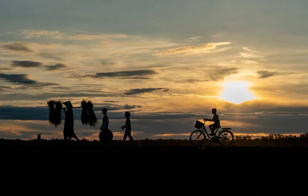 Silhouette of woman carry pack of rice and walk along the road near water reservoir follow by little children walk and other ride a bike.