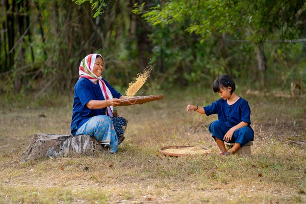 Senioren Aziatische Vrouw Met Traditionele Kleding Winnow Rijst Met Behulp — Stockfoto