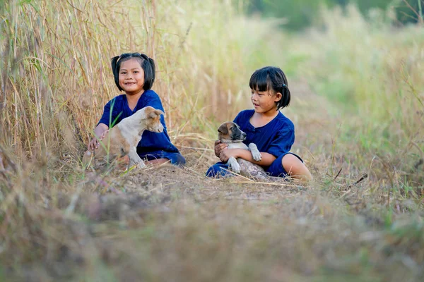 几个亚洲女孩喜欢和小狗玩耍 晚上她们坐在稻田边 灯光柔和 — 图库照片