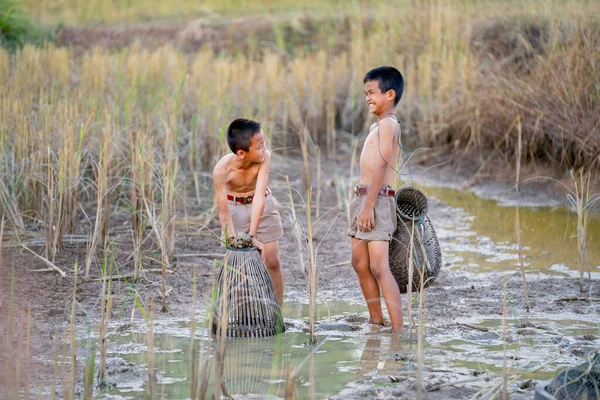 Két Ázsiai Kisfiú Úgy Néz Vicces Nem Fogtak Halat Rizsföldeken — Stock Fotó