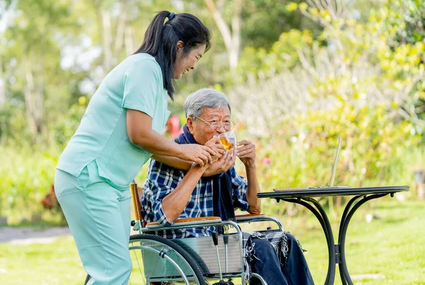 Asian nurse woman help senior man on wheelchair to drink tea in a cup and they stay in the garden with warm light.