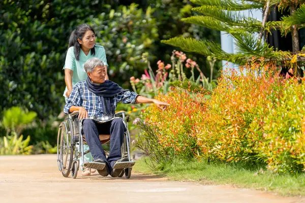 Asian nurse cart of shove senior man sit on wheelchair to walk along the walkway in the garden and they look happiness outdoor to relax with warm light.