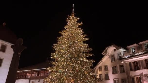 Felvételek Egy Gyönyörű Kivilágított Karácsonyfáról Utcán — Stock videók