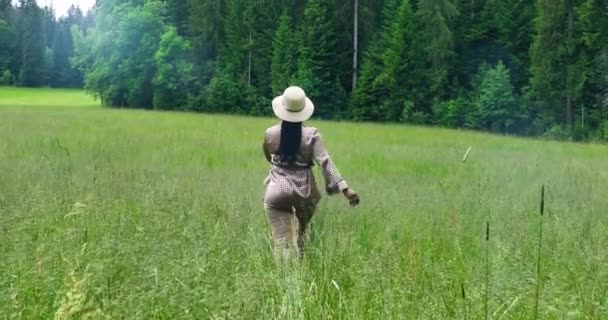 草の野のアフリカ人女性 自然環境景観背景 — ストック動画