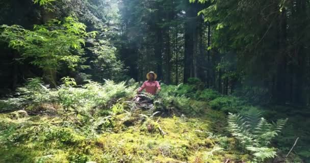 Γυναίκα Κάνει Γιόγκα Στο Όμορφο Ζωηρό Δάσος Φύση Περιβάλλον Τοπίο — Αρχείο Βίντεο
