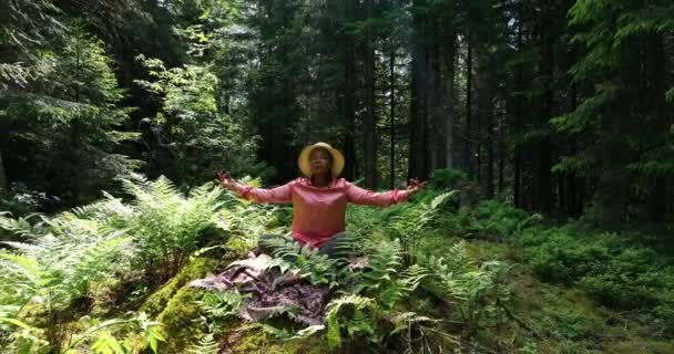 Female Doing Yoga Beautiful Vibrant Forest Nature Environment Landscape Background — 비디오