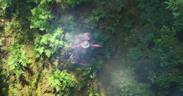 女性在美丽的充满活力的森林里做瑜伽 自然环境景观背景 — 图库视频影像