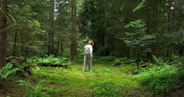 美しい森の中でタイのチーをする女性 自然環境景観背景 — ストック動画