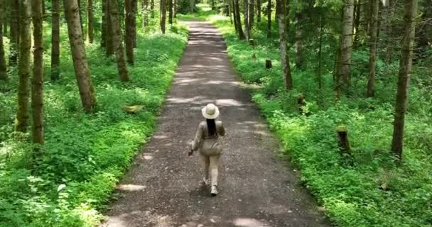 Mujer Caminando Hermoso Bosque Vibrante Naturaleza Entorno Paisaje Fondo — Vídeos de Stock