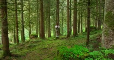 Güzel Hayat Ormanı, Doğa Çevre Alanında Yoga Yapan Kadın