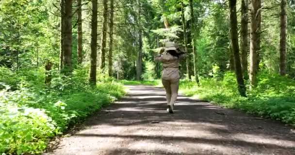 女性行走在美丽而充满活力的森林中 自然环境景观背景 — 图库视频影像