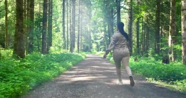 Female Walking Beautiful Vibrant Forest Nature Environment Landscape Background — Stock Video
