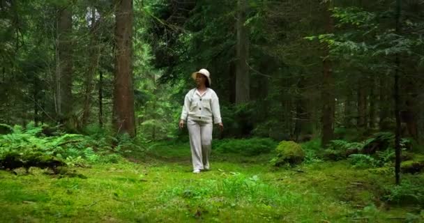 Female Walking Beautiful Vibrant Forest Nature Environment Landscape Background — 비디오