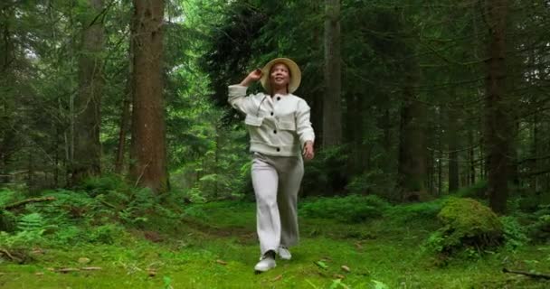美しい森の中を歩く女性 自然環境景観背景 — ストック動画