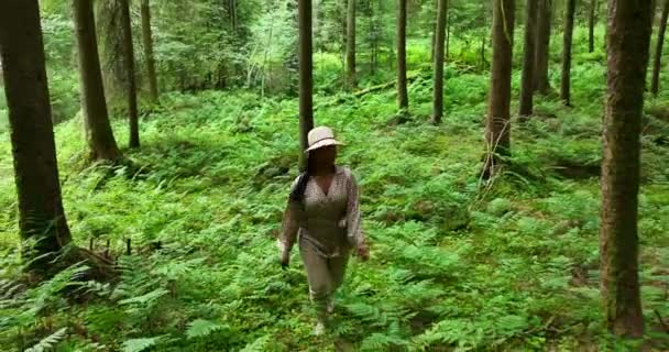 美しい森の中を歩く女性 自然環境景観背景 — ストック動画