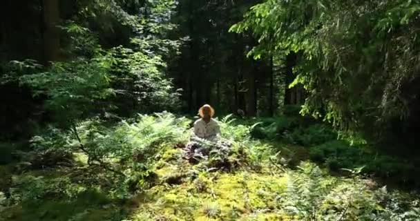Žena Dělá Jógu Krásném Pulzujícím Lese Příroda Prostředí Krajiny Pozadí — Stock video