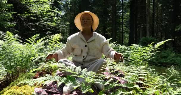 Csinál Jóga Gyönyörű Élénk Erdő Természet Környezet Táj Háttér — Stock videók