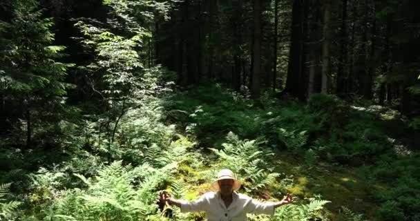 Žena Dělá Jógu Krásném Pulzujícím Lese Příroda Prostředí Krajiny Pozadí — Stock video