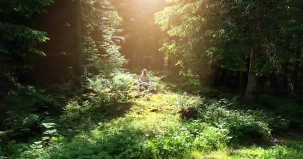 美しい森でヨガをする女性 自然環境景観背景 — ストック動画