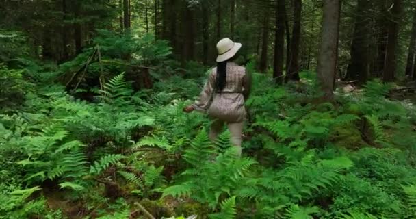 Mujer Caminando Hermoso Bosque Vibrante Naturaleza Entorno Paisaje Fondo — Vídeos de Stock
