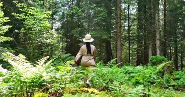 Vrouwelijk Wandelen Prachtig Levendig Bos Natuur Milieu Landschap Achtergrond — Stockvideo