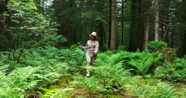Kobieta Walking Beautiful Vibrant Forest Środowisko Naturalne Krajobraz Tło — Wideo stockowe