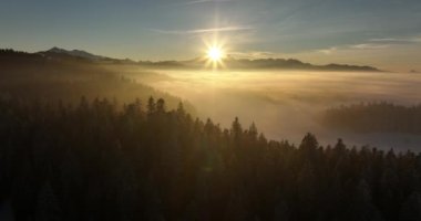Aralık Noel tatilinde Güzel Kış Harikalar Diyarı 'ndaki Kar Kapaklı Orman Ağaçlarının Hava Manzarası