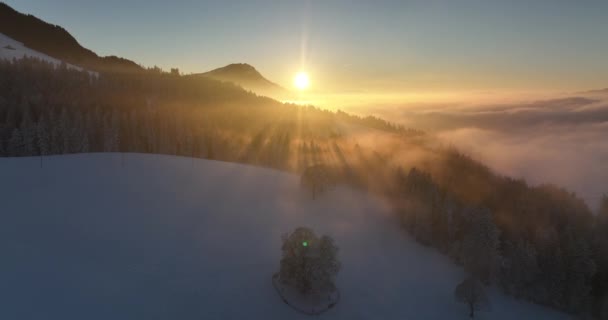 Вид Повітря Вкриті Снігом Ліси Прекрасній Зимовій Країні Різдво — стокове відео