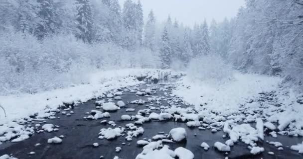 Aerial View Snow Capped Forest Trees Beautiful Winter Wonderland Decemberben — Stock videók