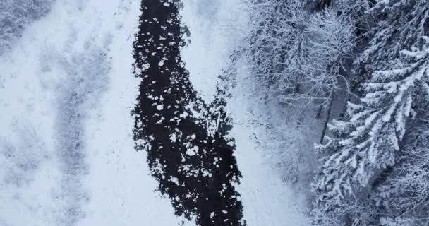 Vista Aérea Los Árboles Forestales Cubiertos Nieve Hermoso País Las — Vídeo de stock